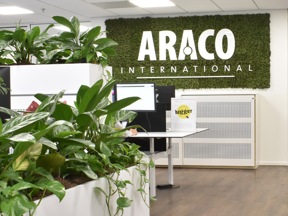 Over Araco
